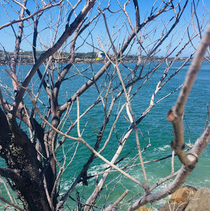 Meet your Posher, Jade